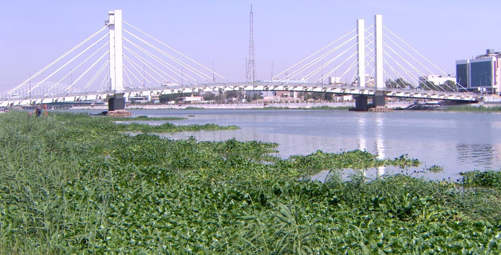 نهر الغراف